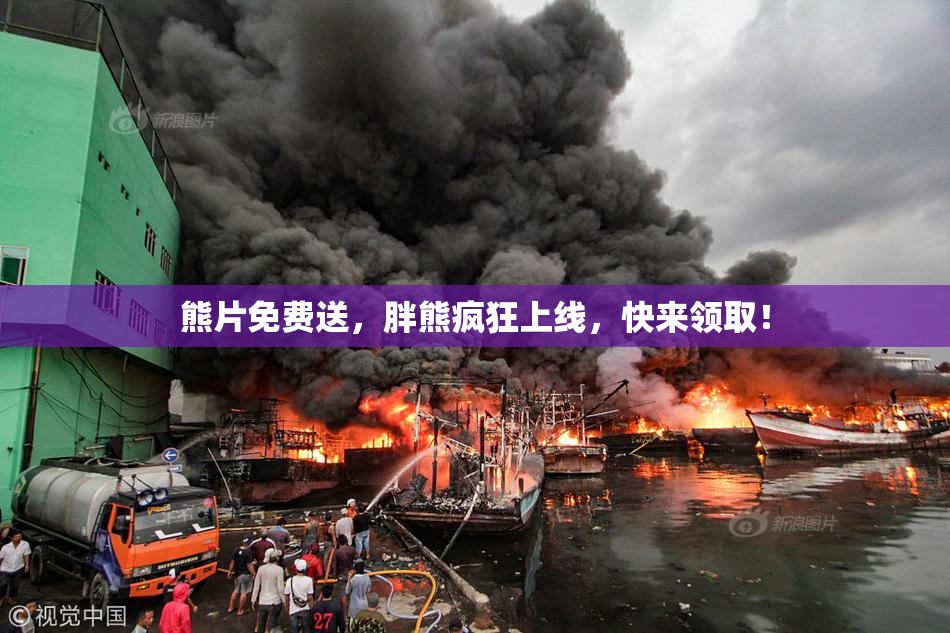 熊片免费送，胖熊疯狂上线，快来领取！