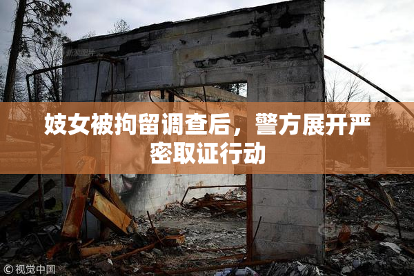 妓女被拘留调查后，警方展开严密取证行动