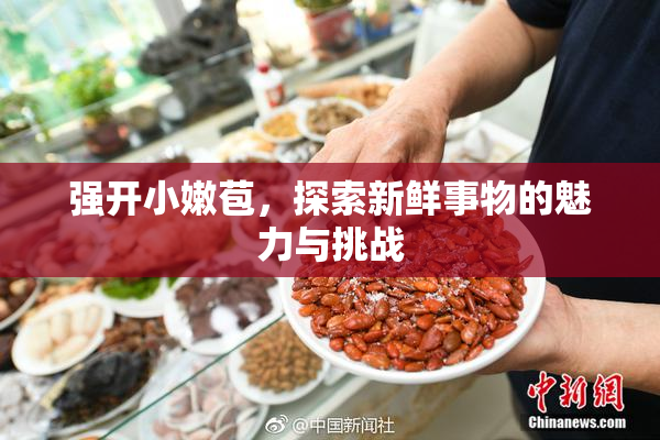 强开小嫩苞，探索新鲜事物的魅力与挑战
