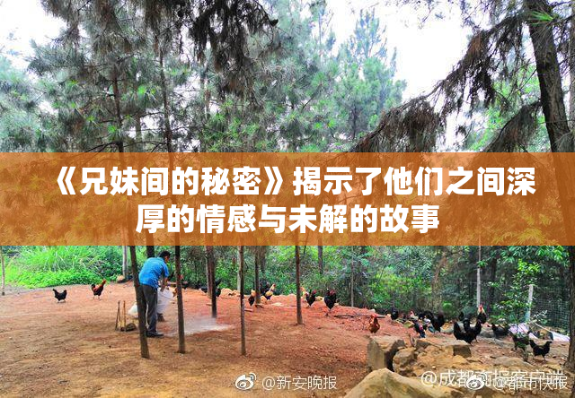 《兄妹间的秘密》揭示了他们之间深厚的情感与未解的故事
