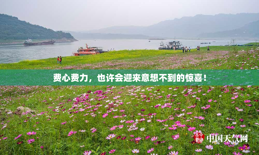 费心费力，也许会迎来意想不到的惊喜！