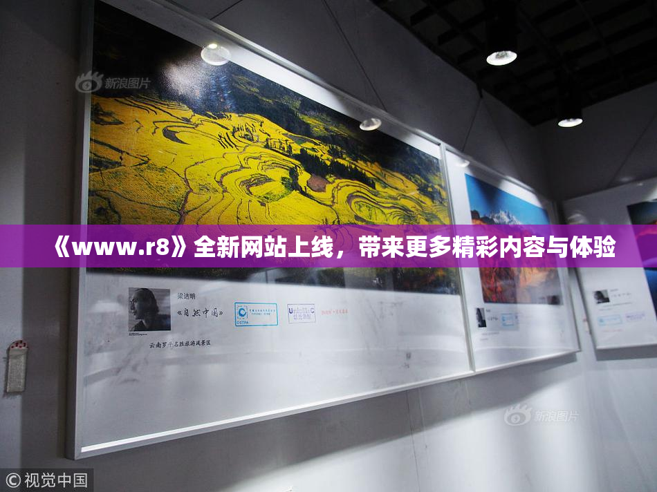 《www.r8》全新网站上线，带来更多精彩内容与体验