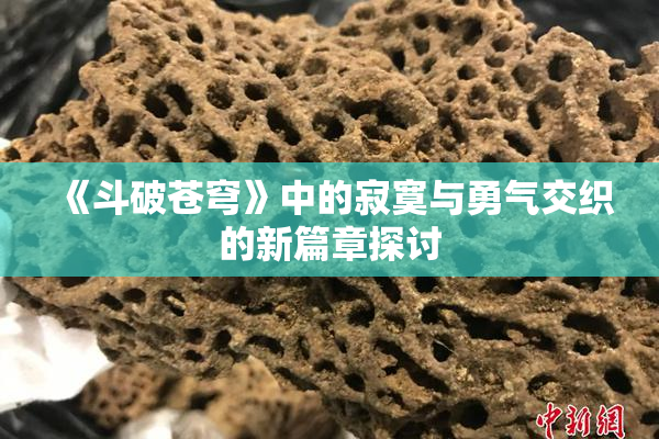 《斗破苍穹》中的寂寞与勇气交织的新篇章探讨