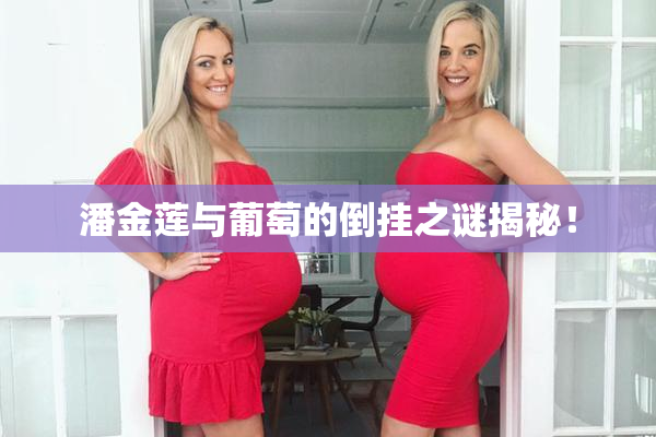 潘金莲与葡萄的倒挂之谜揭秘！