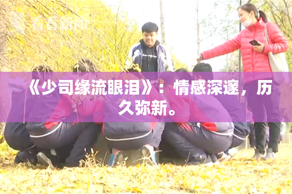《少司缘流眼泪》：情感深邃，历久弥新。