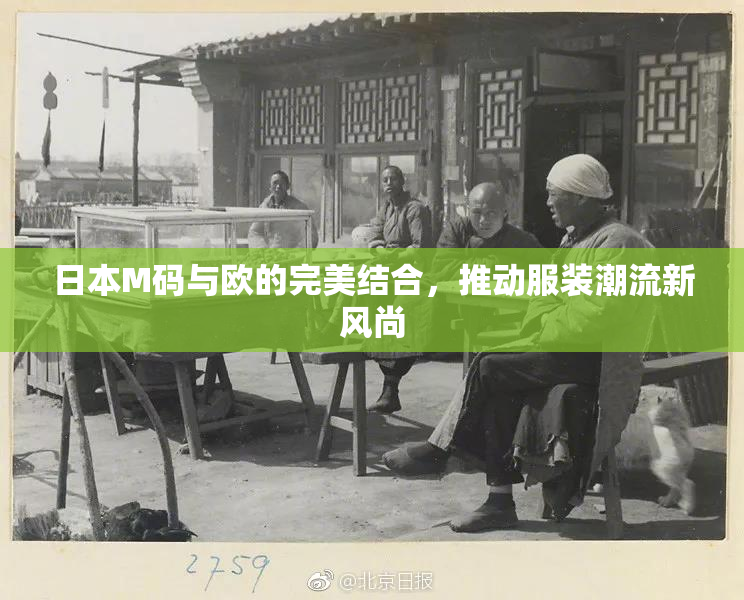 日本M码与欧的完美结合，推动服装潮流新风尚