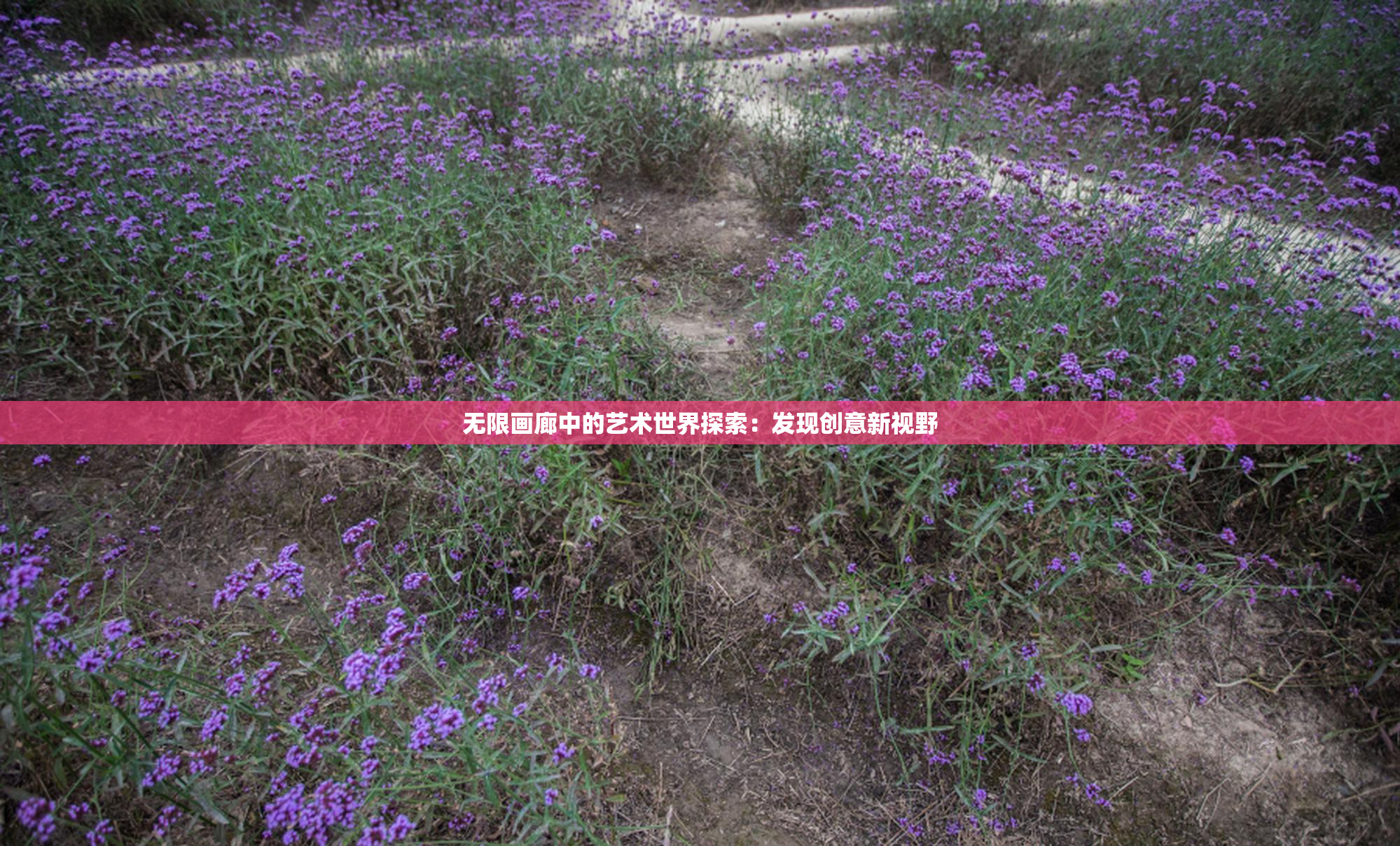 无限画廊中的艺术世界探索：发现创意新视野