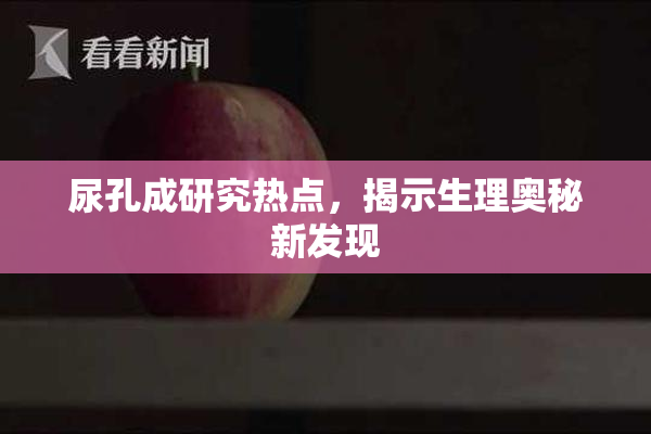尿孔成研究热点，揭示生理奥秘新发现