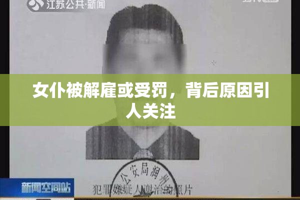 女仆被解雇或受罚，背后原因引人关注