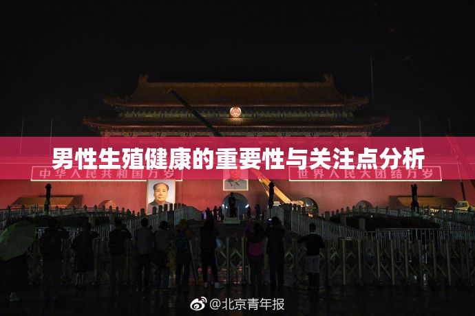 男性生殖健康的重要性与关注点分析