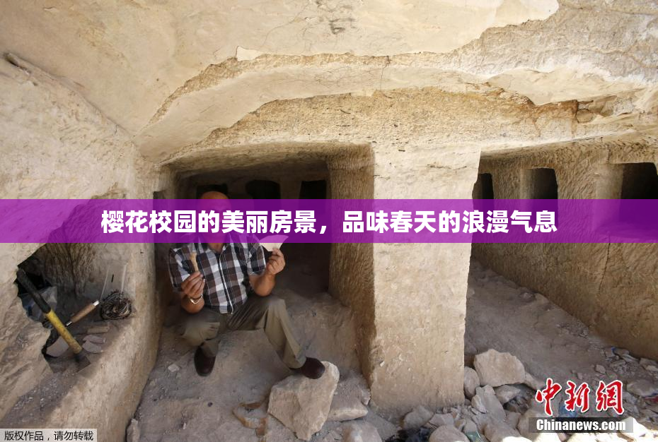 樱花校园的美丽房景，品味春天的浪漫气息