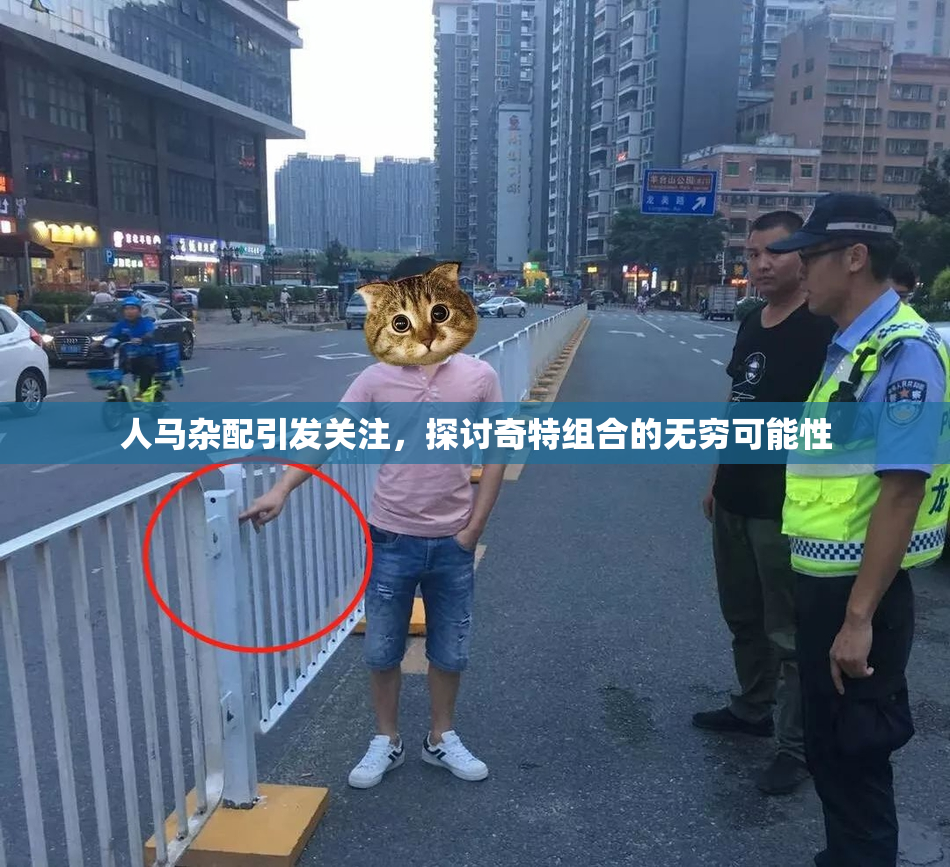 人马杂配引发关注，探讨奇特组合的无穷可能性