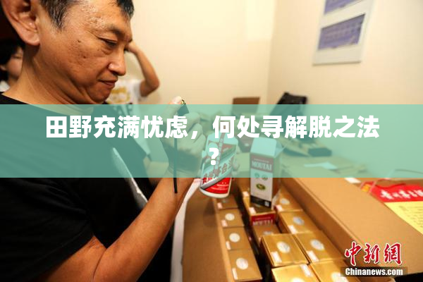 田野充满忧虑，何处寻解脱之法？