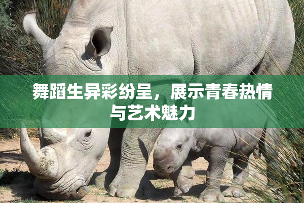 舞蹈生异彩纷呈，展示青春热情与艺术魅力