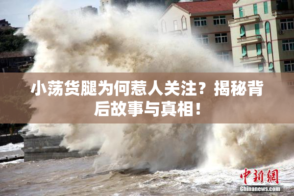 小荡货腿为何惹人关注？揭秘背后故事与真相！