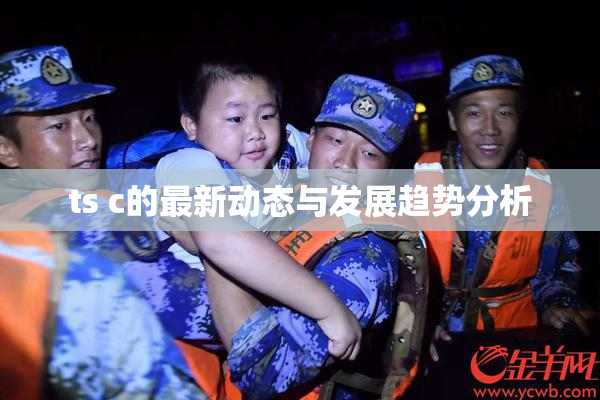 ts c的最新动态与发展趋势分析