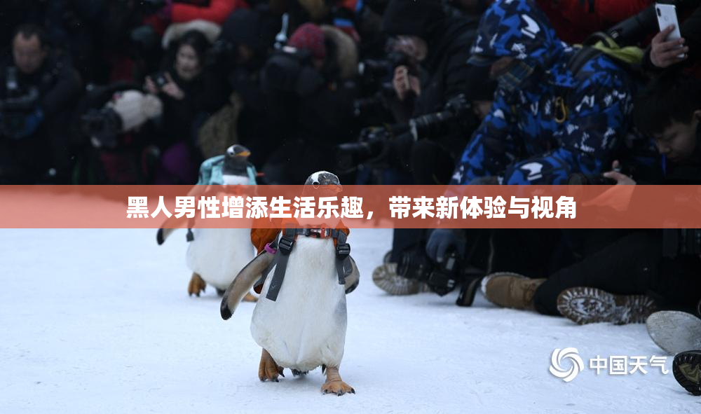 黑人男性增添生活乐趣，带来新体验与视角