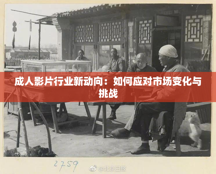 成人影片行业新动向：如何应对市场变化与挑战