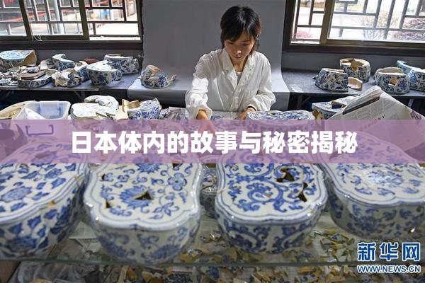 日本体内的故事与秘密揭秘