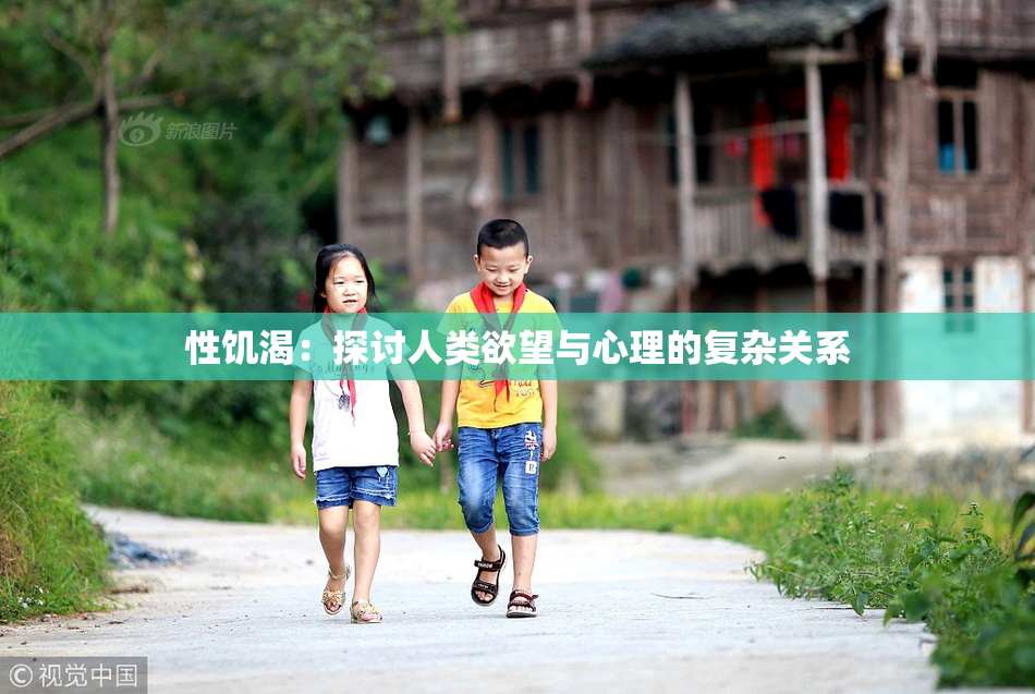 性饥渴：探讨人类欲望与心理的复杂关系