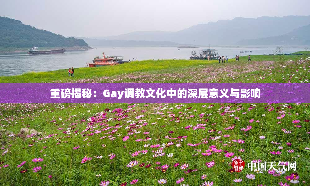 重磅揭秘：Gay调教文化中的深层意义与影响
