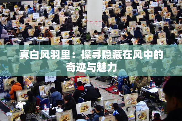 真白风羽里：探寻隐藏在风中的奇迹与魅力