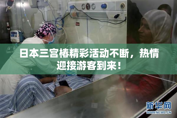 日本三宫椿精彩活动不断，热情迎接游客到来！