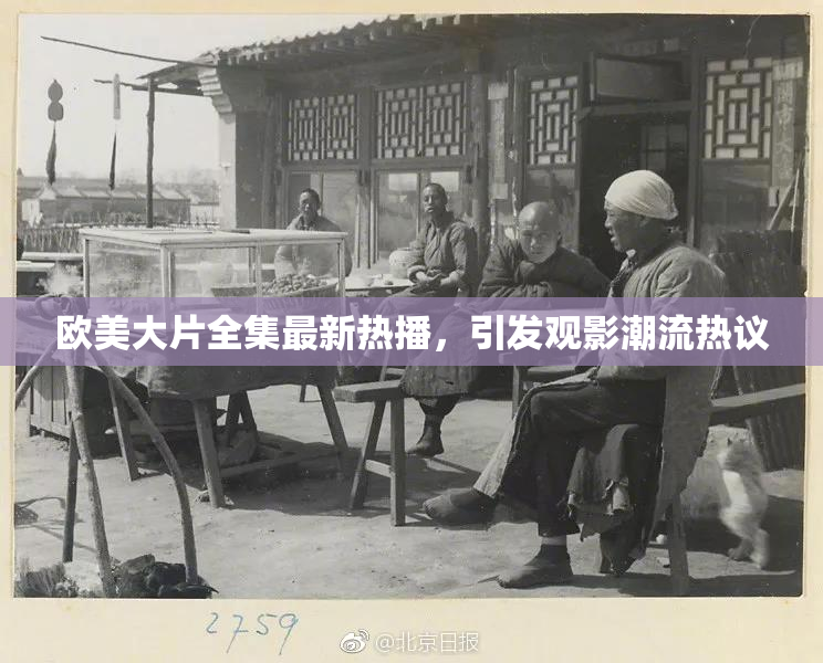 欧美大片全集最新热播，引发观影潮流热议