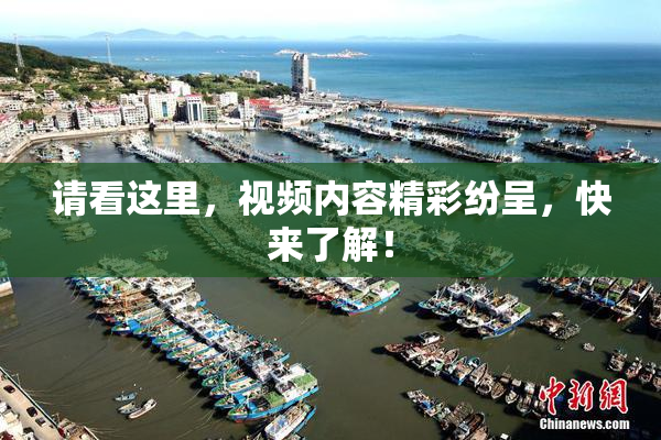 请看这里，视频内容精彩纷呈，快来了解！