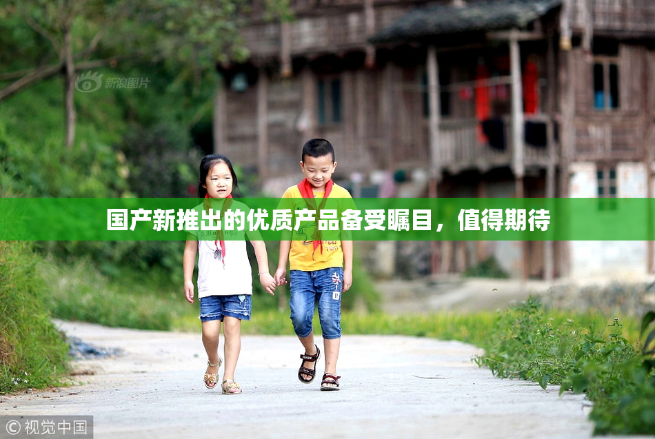 国产新推出的优质产品备受瞩目，值得期待