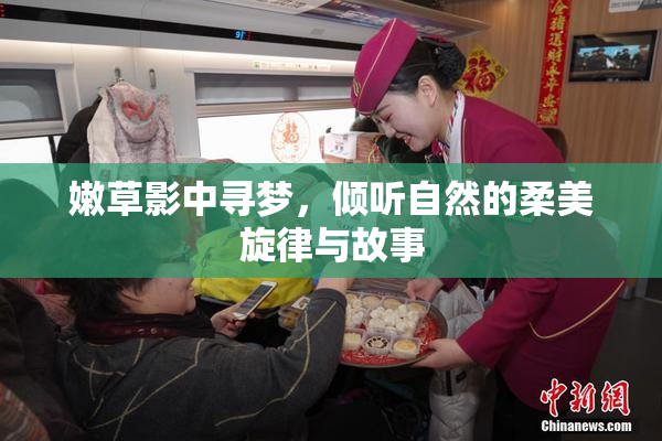 嫩草影中寻梦，倾听自然的柔美旋律与故事