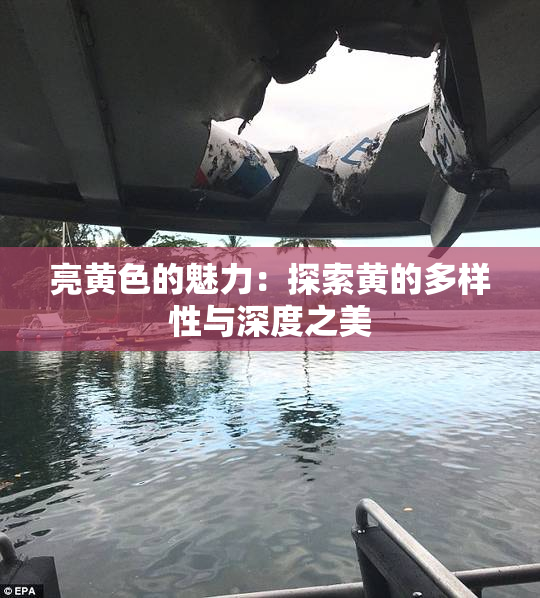 亮黄色的魅力：探索黄的多样性与深度之美