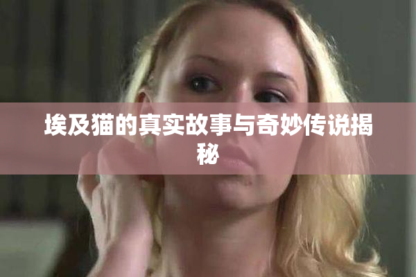 埃及猫的真实故事与奇妙传说揭秘
