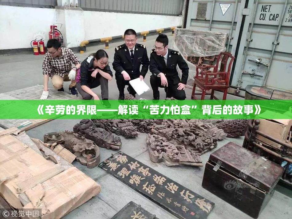《辛劳的界限——解读“苦力怕盒”背后的故事》