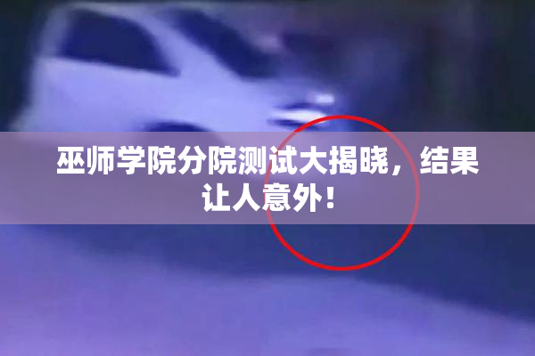 巫师学院分院测试大揭晓，结果让人意外！