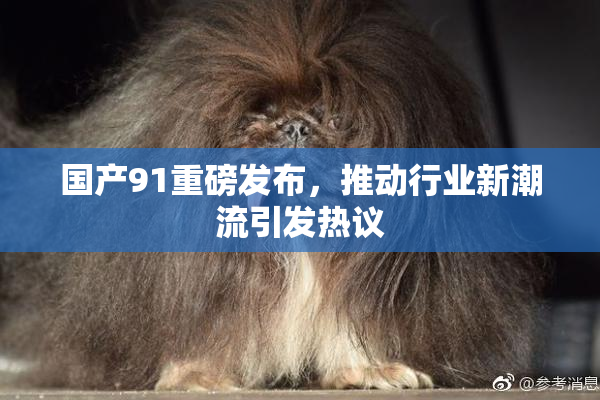国产91重磅发布，推动行业新潮流引发热议