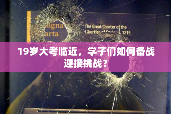 19岁大考临近，学子们如何备战迎接挑战？