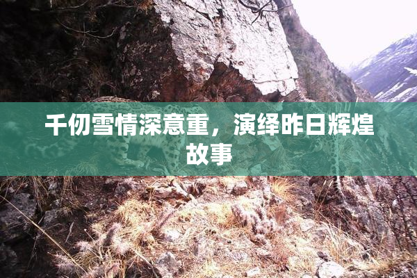 千仞雪情深意重，演绎昨日辉煌故事