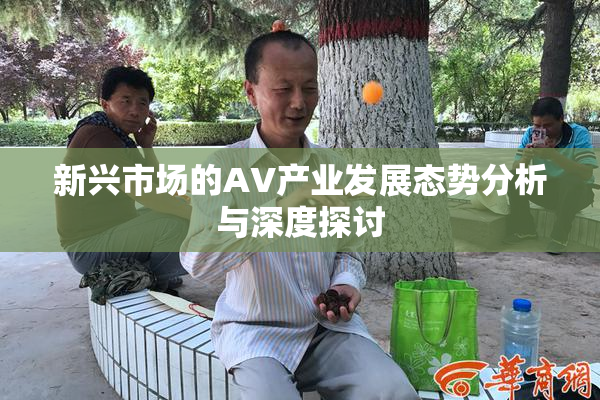 新兴市场的AV产业发展态势分析与深度探讨