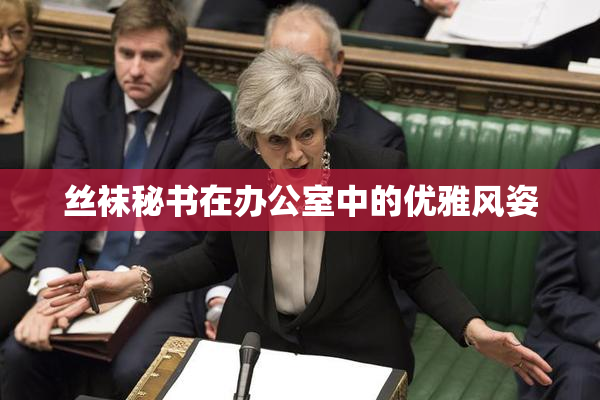 丝袜秘书在办公室中的优雅风姿