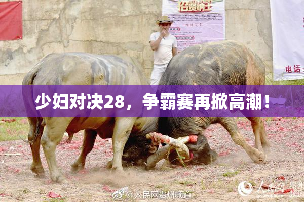 少妇对决28，争霸赛再掀高潮！