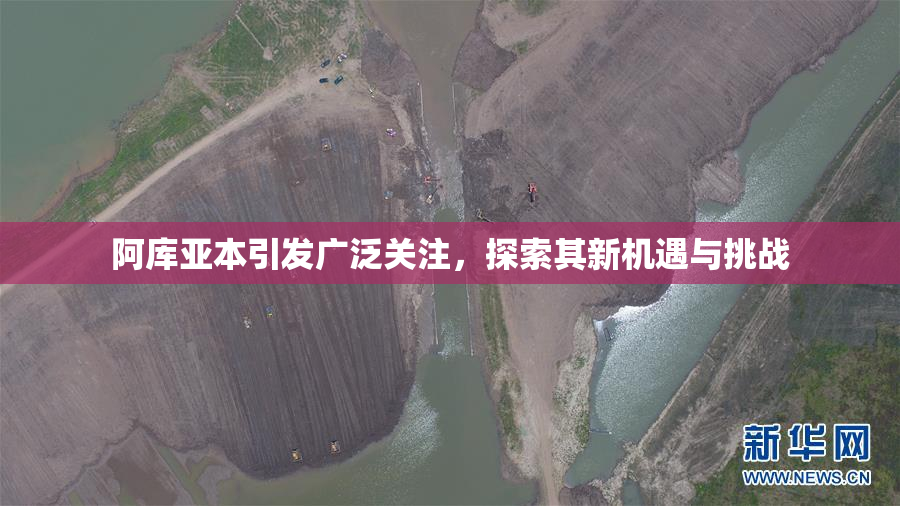 阿库亚本引发广泛关注，探索其新机遇与挑战