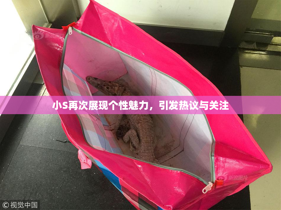 小S再次展现个性魅力，引发热议与关注