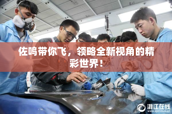 佐鸣带你飞，领略全新视角的精彩世界！