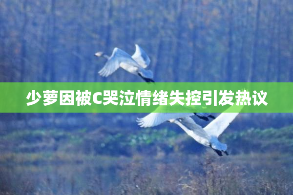 少萝因被C哭泣情绪失控引发热议