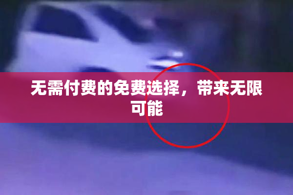 无需付费的免费选择，带来无限可能