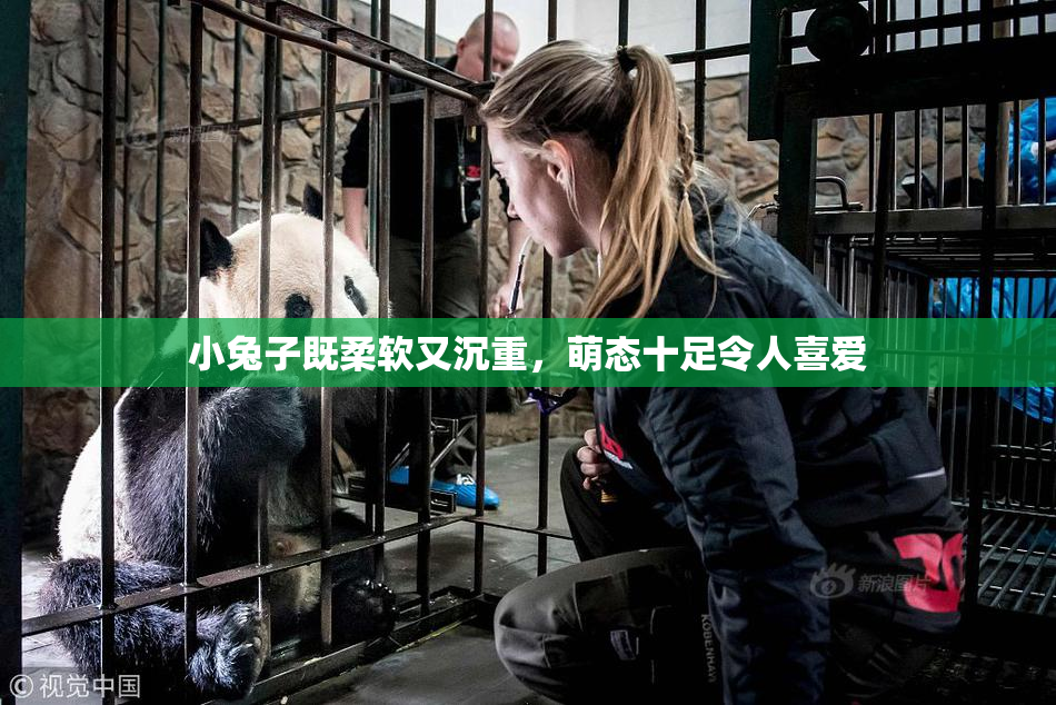 小兔子既柔软又沉重，萌态十足令人喜爱