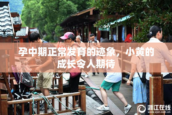 孕中期正常发育的迹象，小黄的成长令人期待