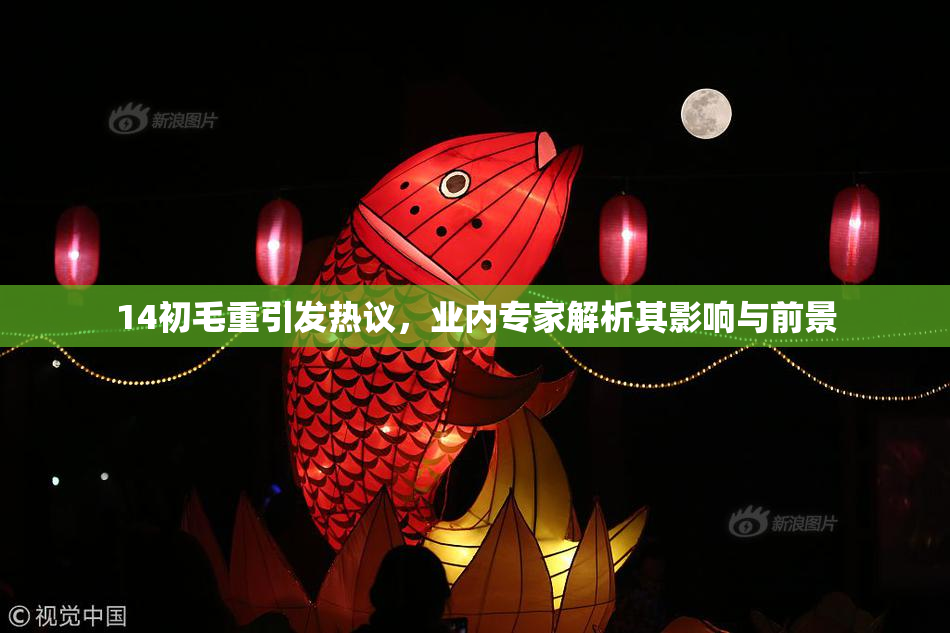 14初毛重引发热议，业内专家解析其影响与前景