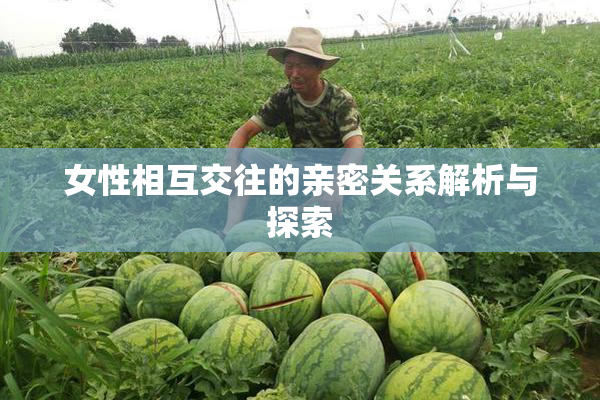 女性相互交往的亲密关系解析与探索
